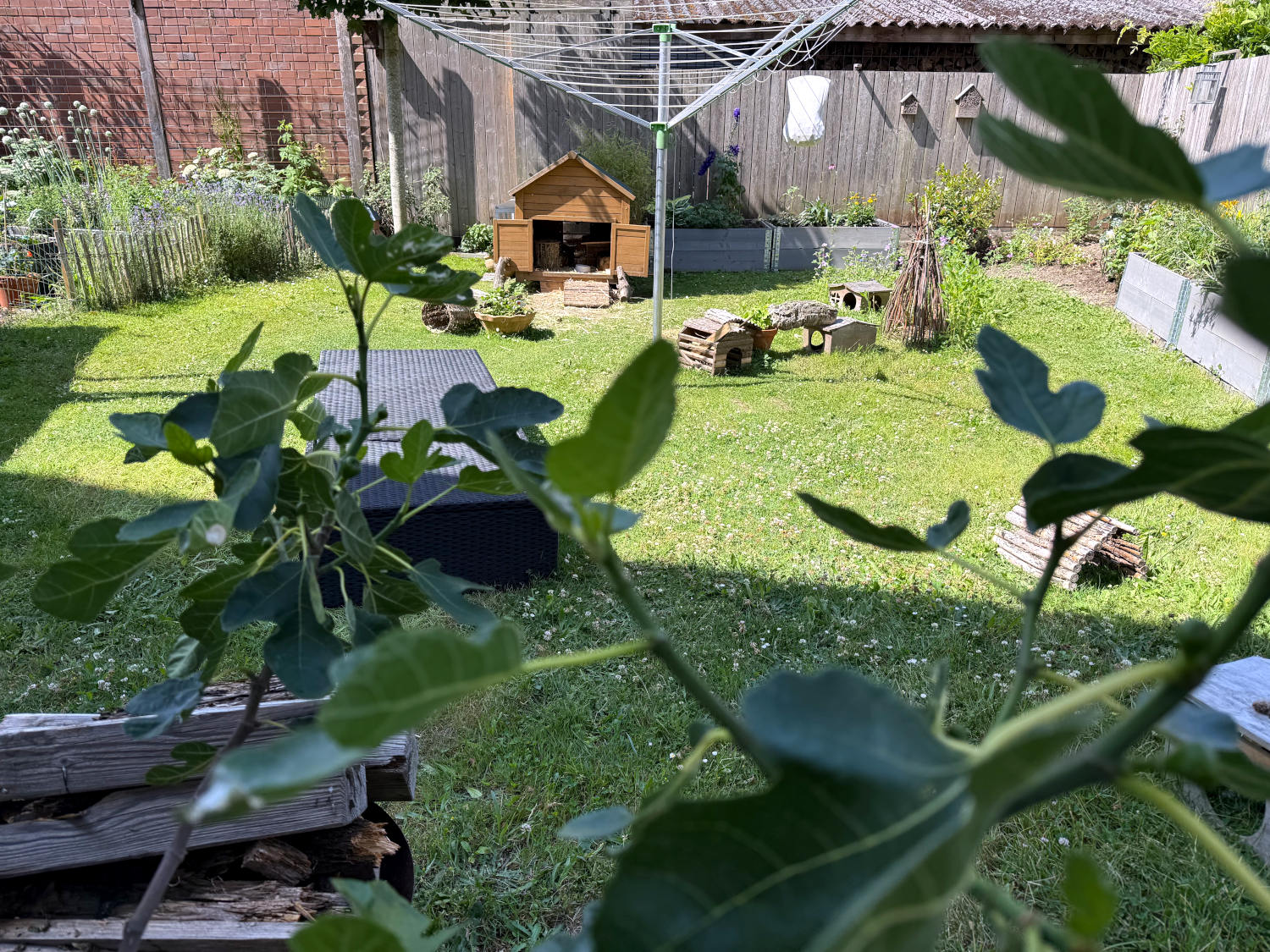 Das Schweineparadies: eine Wiese, auf der Unterschlüpfe stehen, am Ende ein Stall mit geöffneten Türen