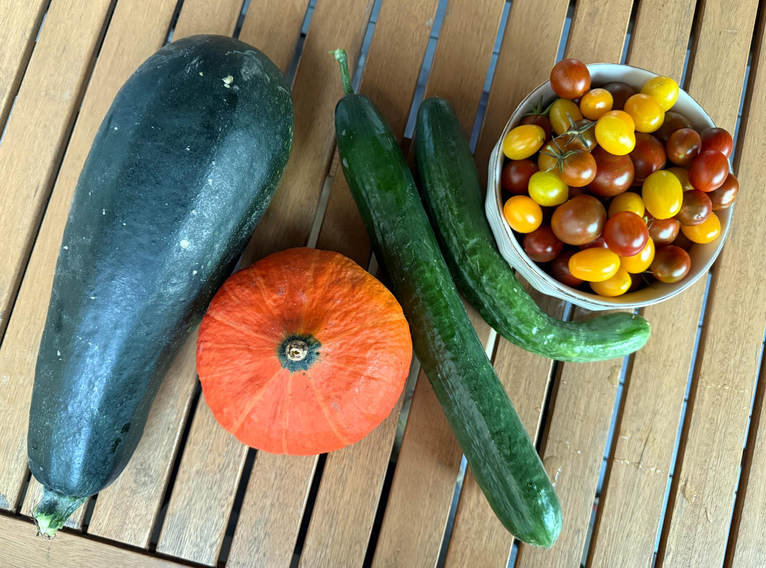 Eine mordmäßig dicke Zucchini, ein kleiner Hokkaido-Kürbis, zwei Gurken, eine Schale mit kleinen Tomaten