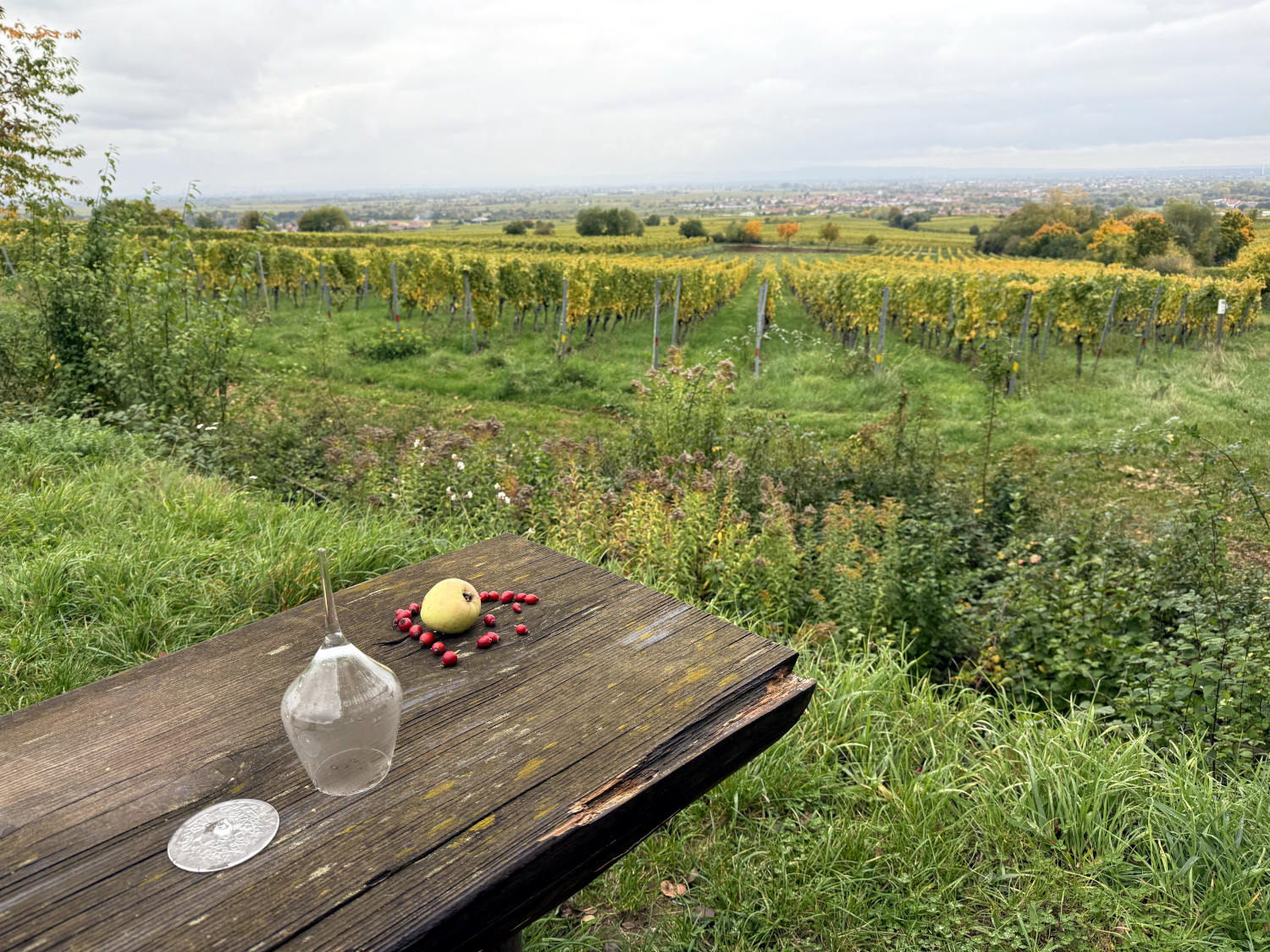 Ein Tisch mit einem umgedrehten Weinglas, der Fuß ist abgebrochen, daneben ein Apfel und Beeren, im Hintergrund Weinberge und die pfälzische Ebene.