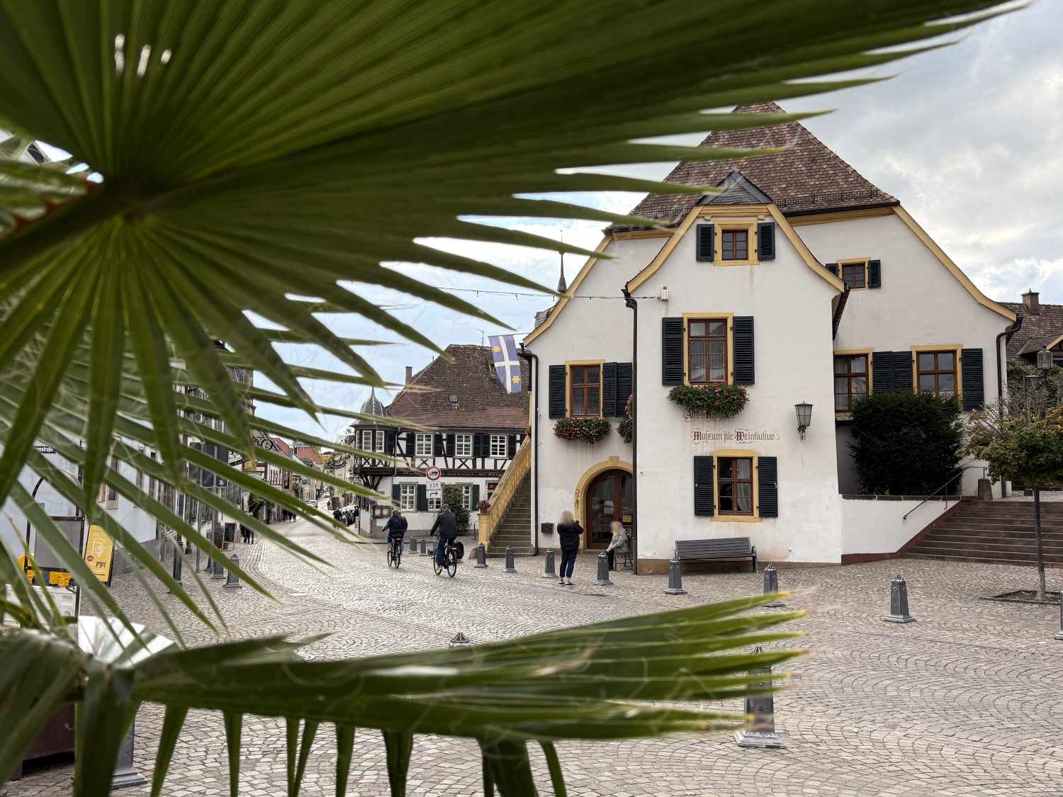 Traditionelle Pfälzer Häuser, fotografiert durch einen Palmwedel