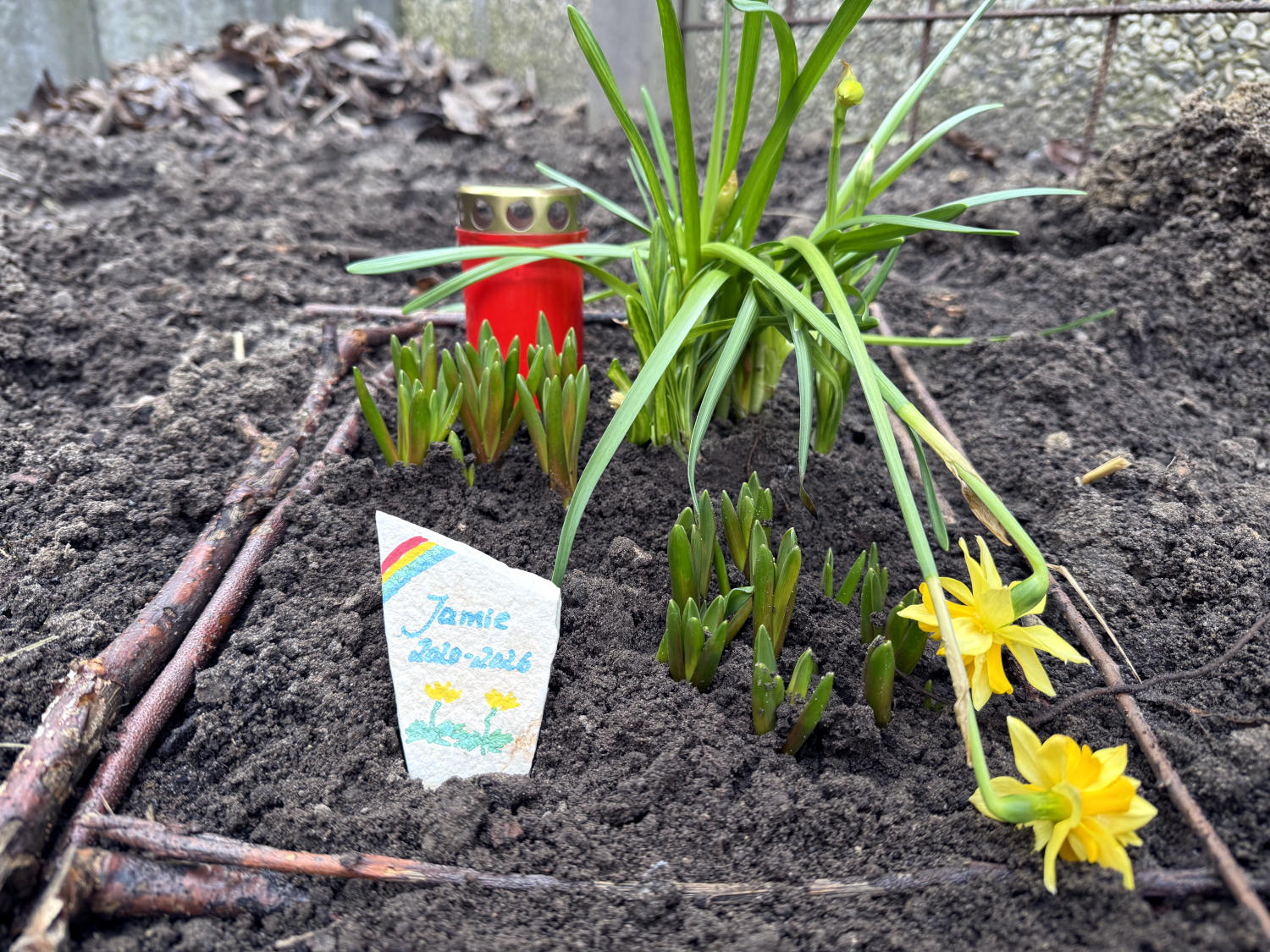 Ein Meerschweingrab, eingefriedet durch Äste, darin Osterglocken, Hyazinthen, eine Grabkerze und ein Grabstein aus einer Scherbe, Text: "Jamie 2020-2026", gemalter Löwenzahn und Regenbogen