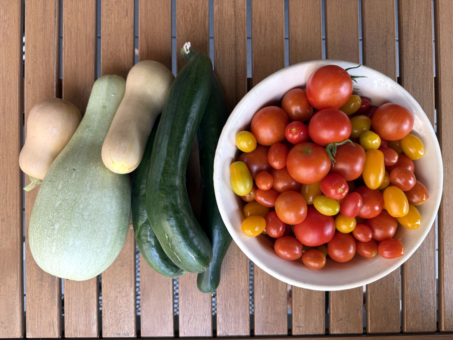Eine fette Zucchini, drei Gurken, zwei kleine Kürbisse. Daneben eine dicke Schüssel Tomaten.