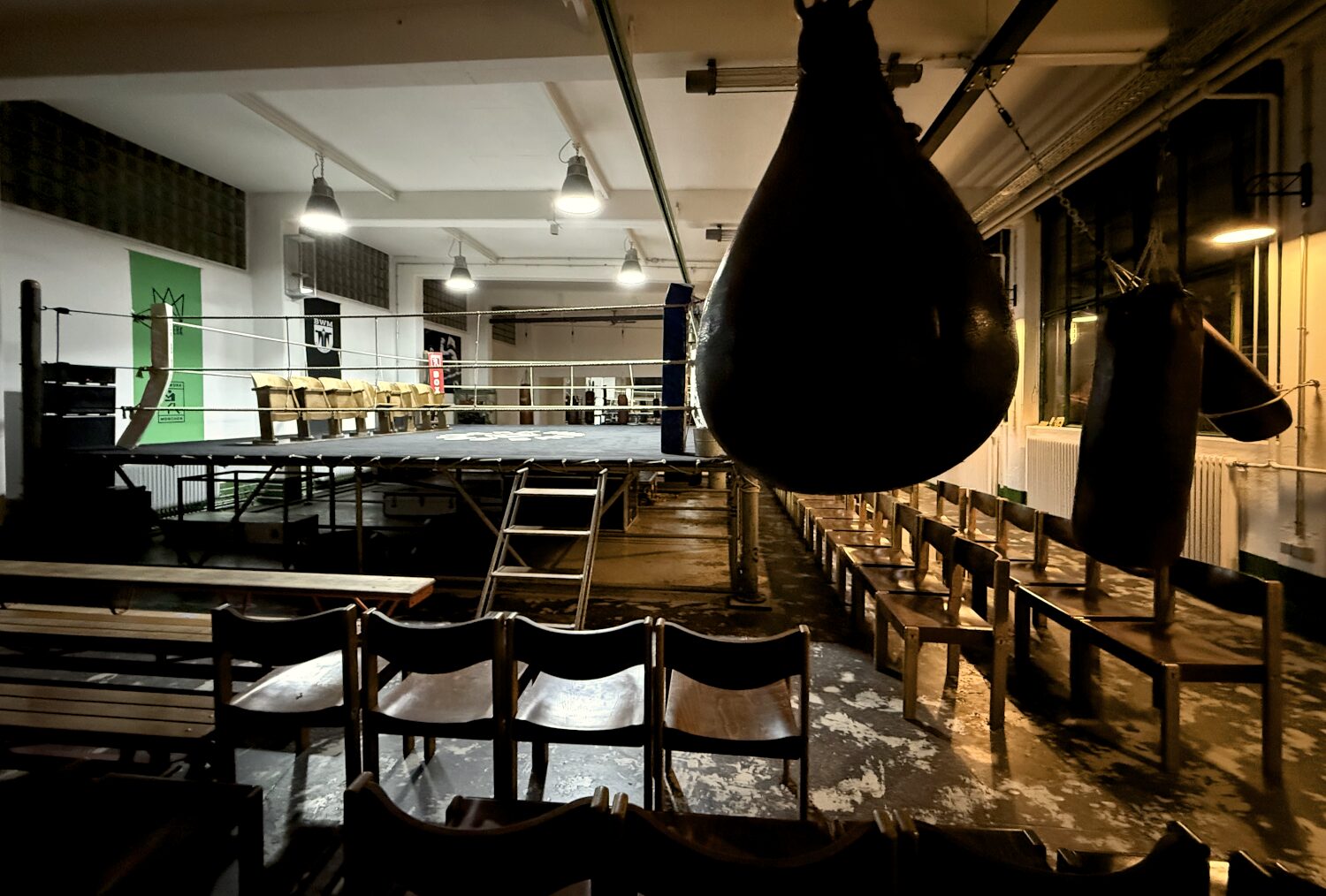 Beleuchteter Boxring in der Mitte von Stühlen. Im Vordergrund, schemenhaft, eine Boxbirne.